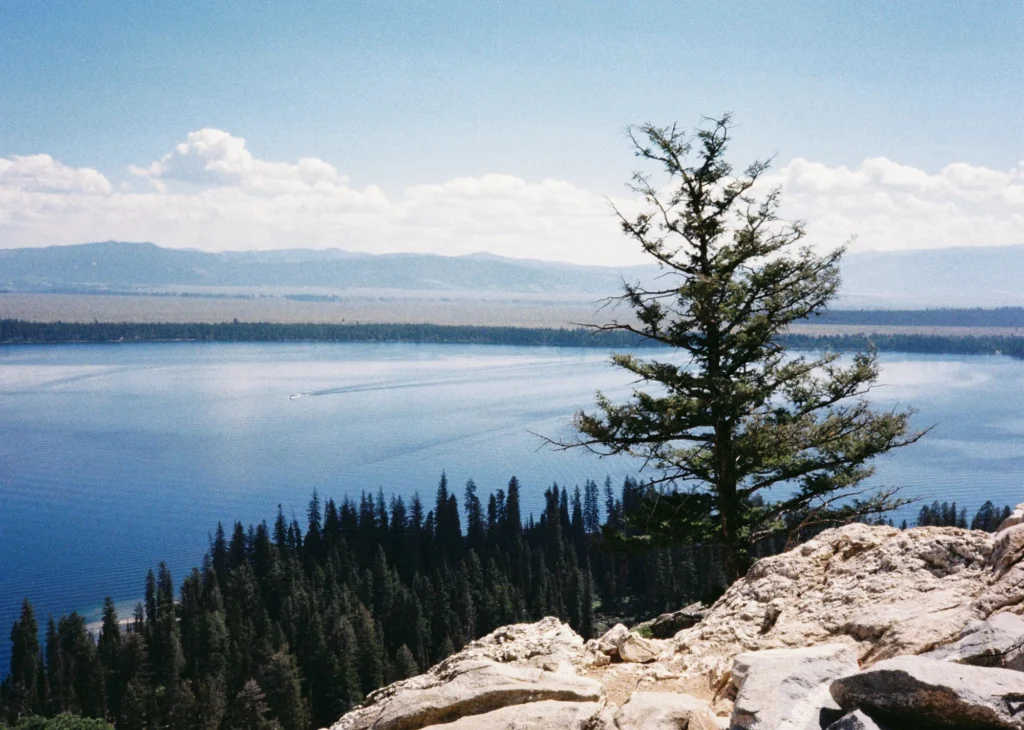 Gan Yu Liang, shot on Kodak ColorPlus 200