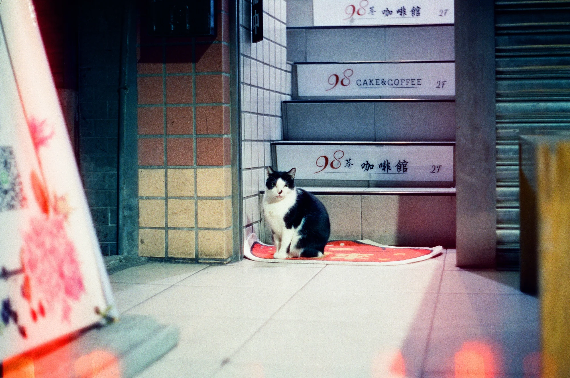 Jeffrey Lim, shot on Reflx Lab 800T